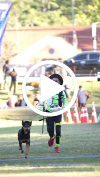 BIB:  <button type="button" onclick="openModal(26565992)" class="btn btn-primary btn-sm float-right" data-toggle="modal" data-target=".modal-high-quality">
                <i class="fa fa-download"></i> Download
                </button>